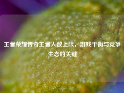 王者荣耀传奇王者人数上限，游戏平衡与竞争生态的关键