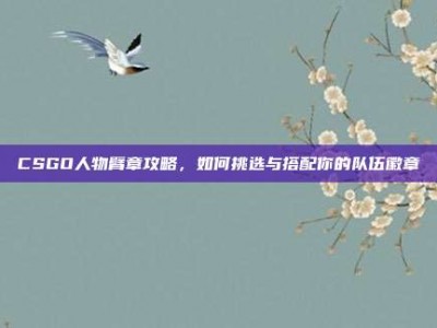 CSGO人物臂章攻略，如何挑选与搭配你的队伍徽章