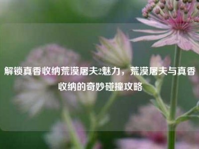解锁真香收纳荒漠屠夫2魅力，荒漠屠夫与真香收纳的奇妙碰撞攻略