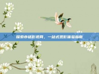 探索亦铭影视网，一站式观影体验指南