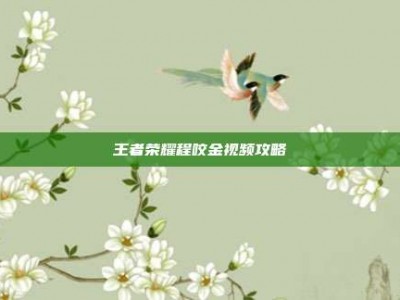 王者荣耀程咬金视频攻略