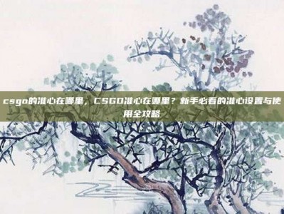 csgo的准心在哪里，CSGO准心在哪里？新手必看的准心设置与使用全攻略