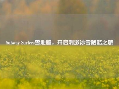 Subway Surfers雪地版，开启刺激冰雪跑酷之旅