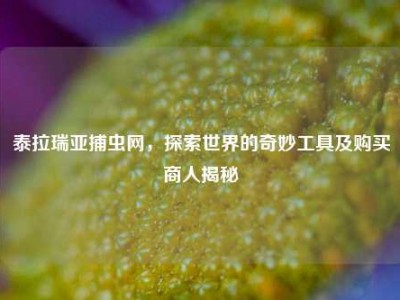 泰拉瑞亚捕虫网，探索世界的奇妙工具及购买商人揭秘