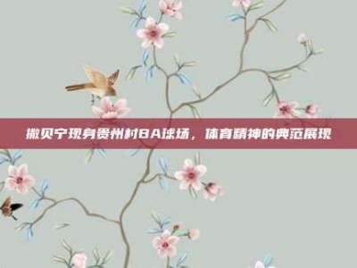 撒贝宁现身贵州村BA球场，体育精神的典范展现