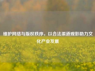 维护网络与版权秩序，以合法渠道观影助力文化产业发展