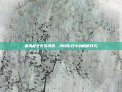 猎狐者全身透视图，揭秘游戏中的隐藏技巧