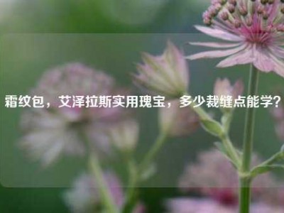 霜纹包，艾泽拉斯实用瑰宝，多少裁缝点能学？