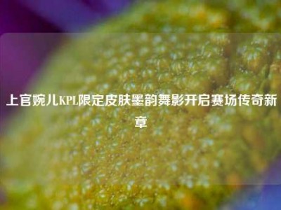 上官婉儿KPL限定皮肤墨韵舞影开启赛场传奇新章
