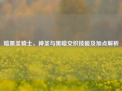 暗黑圣骑士，神圣与黑暗交织技能及加点解析