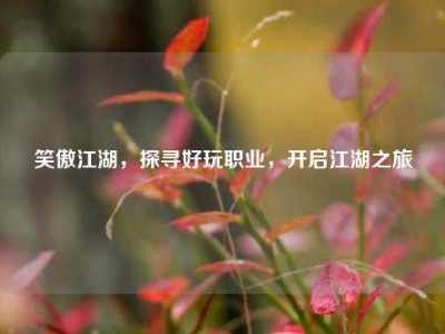 笑傲江湖，探寻好玩职业，开启江湖之旅