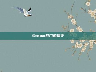 Steam开门的指令