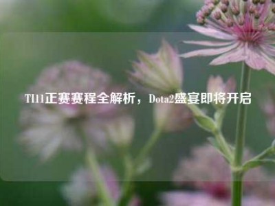 TI11正赛赛程全解析，Dota2盛宴即将开启