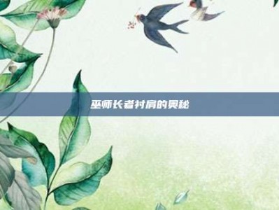巫师长者衬肩的奥秘