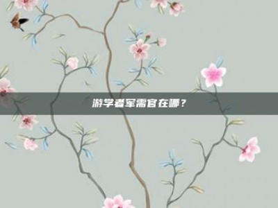 游学者军需官在哪？