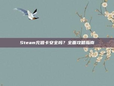 Steam充值卡安全吗？全面攻略指南
