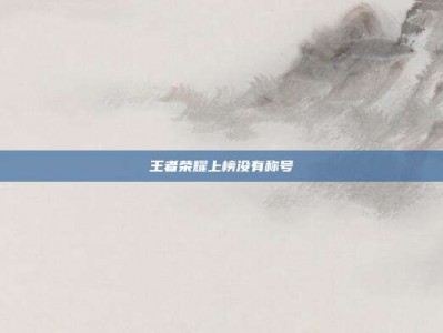 王者荣耀上榜没有称号