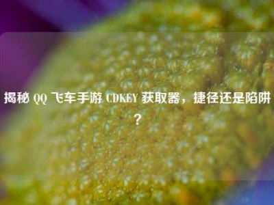 揭秘 QQ 飞车手游 CDKEY 获取器，捷径还是陷阱？