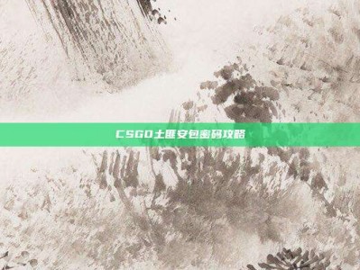 CSGO土匪安包密码攻略