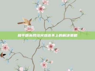 和平精英网络突然连不上的解决策略