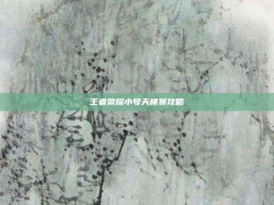 王者荣耀小号天梯赛攻略
