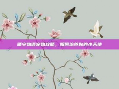 晴空物语宠物攻略，如何培养你的小天使
