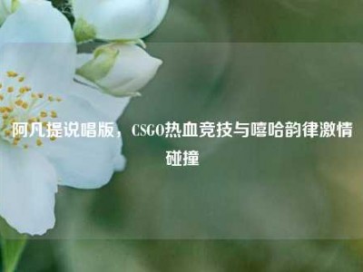 阿凡提说唱版，CSGO热血竞技与嘻哈韵律激情碰撞