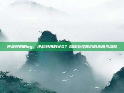 逆战好用的wg，逆战好用的WG？揭秘外挂背后的真相与风险