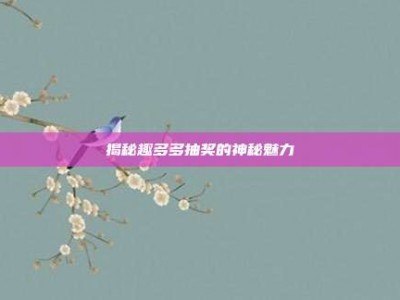揭秘趣多多抽奖的神秘魅力