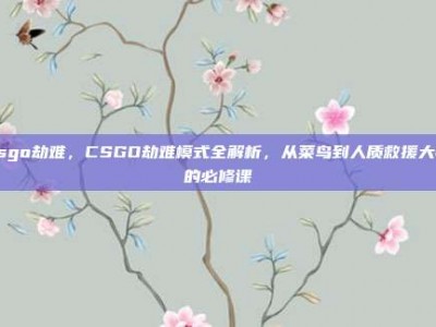 csgo劫难，CSGO劫难模式全解析，从菜鸟到人质救援大师的必修课