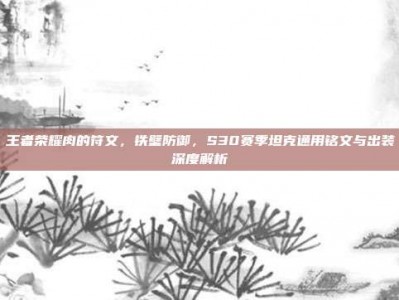 王者荣耀肉的符文，铁壁防御，S30赛季坦克通用铭文与出装深度解析