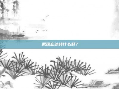 武魂玄冰转什么好？