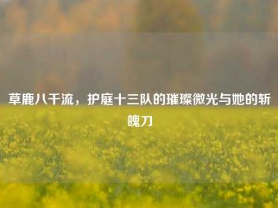 草鹿八千流，护庭十三队的璀璨微光与她的斩魄刀