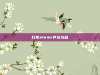 只狼steam弹窗攻略