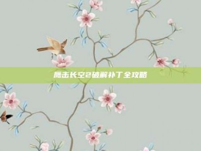 鹰击长空2破解补丁全攻略