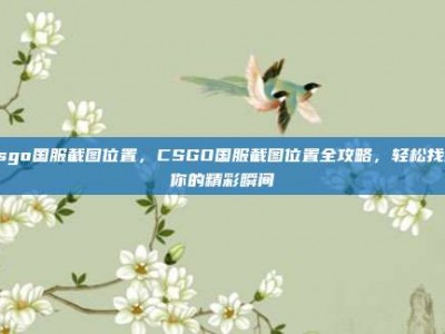 csgo国服截图位置，CSGO国服截图位置全攻略，轻松找到你的精彩瞬间