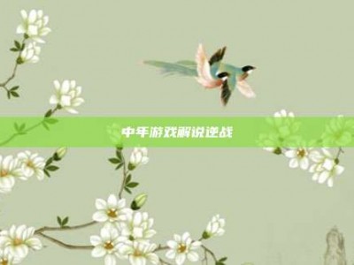 中年游戏解说逆战