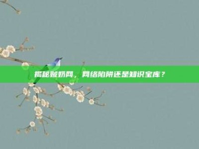 揭秘贼奶网，网络陷阱还是知识宝库？