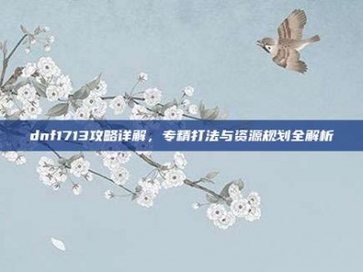 dnf1713攻略详解，专精打法与资源规划全解析