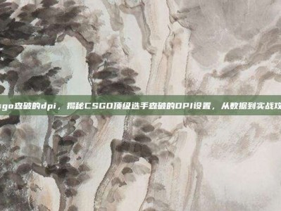 csgo森破的dpi，揭秘CSGO顶级选手森破的DPI设置，从数据到实战攻略