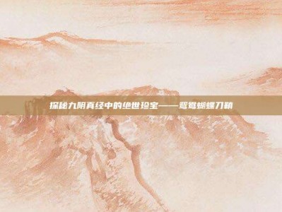 探秘九阴真经中的绝世珍宝——鸳鸯蝴蝶刀鞘