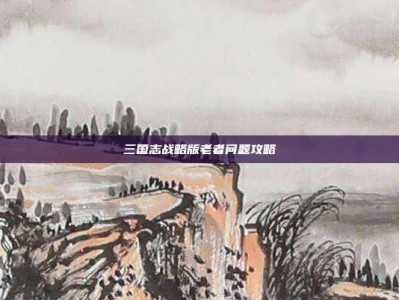 三国志战略版老者问题攻略