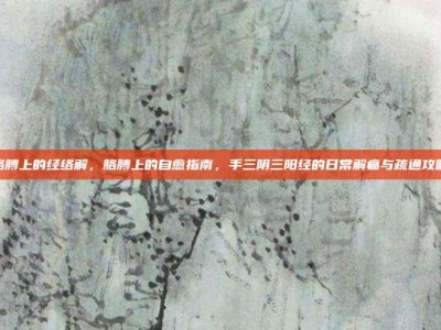 胳膊上的经络解，胳膊上的自愈指南，手三阴三阳经的日常解痛与疏通攻略