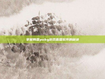 掌握韩国pubg游戏直播软件的秘诀