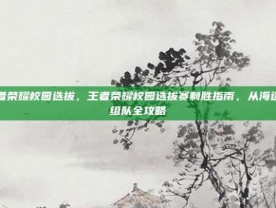 王者荣耀校园选拔，王者荣耀校园选拔赛制胜指南，从海选到组队全攻略