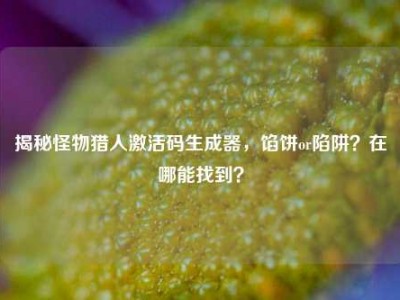 揭秘怪物猎人激活码生成器，馅饼or陷阱？在哪能找到？