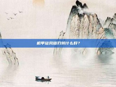 机甲旋风链刃转什么好？