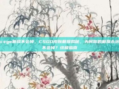 csgo磨损不会掉，CSGO皮肤磨损揭秘，为何你的磨损永远不会掉？终极指南