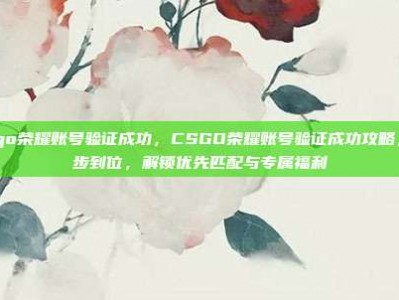 csgo荣耀账号验证成功，CSGO荣耀账号验证成功攻略，一步到位，解锁优先匹配与专属福利