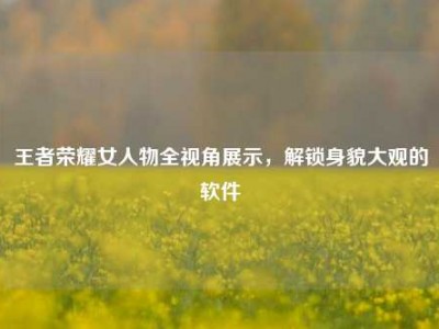王者荣耀女人物全视角展示，解锁身貌大观的软件